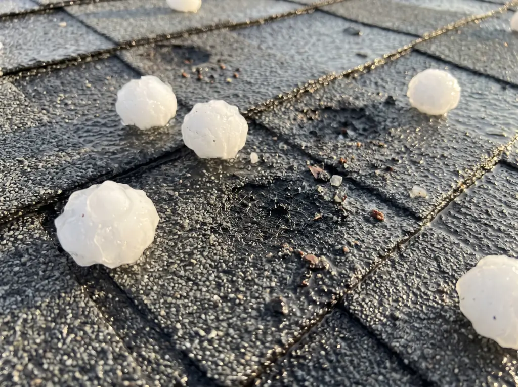 Hailstones resting on dark asphalt shingles with fresh impact marks